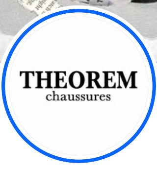 Logo THEOREM Chaussures.jpg